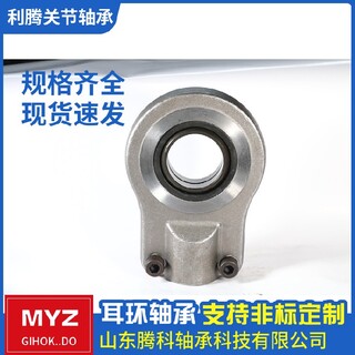 MYZ自润滑关节轴承,腾科轴承耳环关节轴承GAS120型号型号图片6