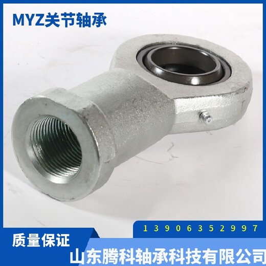 MYZ关节轴承,热门MYZ腾科轴承耳环关节轴承GAS120型号报价