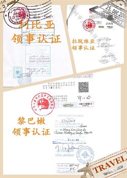 无犯罪公证书越南领事加签,使馆盖章