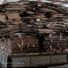 上海高价专业回收废纸板回收废书本纸回收纸箱回收纸板