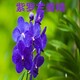 半桶半箱日化香精回收圖