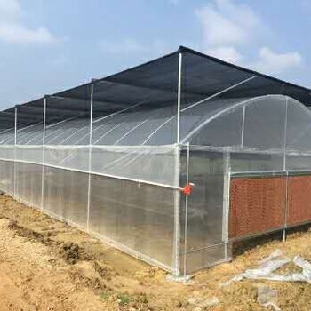 北京奥农苑温室大棚外遮阳系统保养