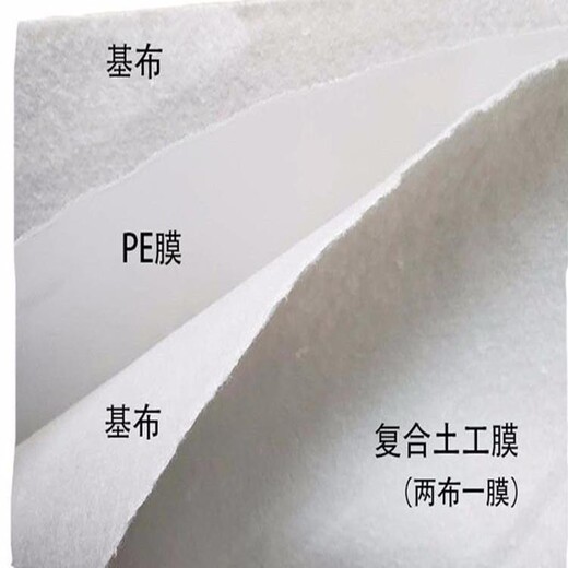 陕西900克两布一膜土工布产品型号SN2/PE用于引水灌溉