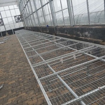 内蒙古呼伦贝尔鄂温克旗商用移动苗床作用,温室苗床