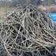 滨海新区回收淘汰电缆图