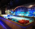 永辉海鲜池广州海鲜玻璃鱼缸做多高,玻璃海鲜池