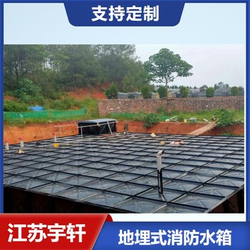 广东河源地埋式箱泵一体化无底板