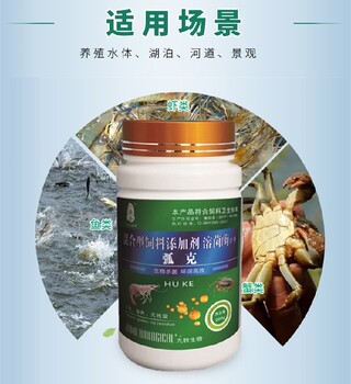 九牧渔安水产杀菌药,对虾肠炎药杀弧菌药批发信息