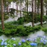 博驰环境人造雾景观,节能喷雾造景安装图片1