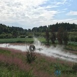 博驰环境人造雾景观,节能喷雾造景安装图片5