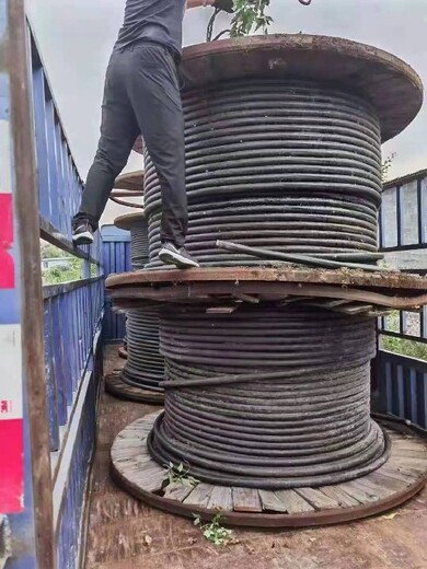 浙江温州瑞安市从事那里回收电缆一米价格