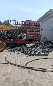 河南信阳光山县工业电缆回收型号,废电缆回收价格