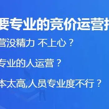 南京竟价代运营价格,上万行业案例获客,竟价托管