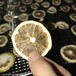 广西柠檬烘干设备广东15匹烘干房果蔬烘干机厂家