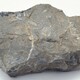 贝壳化石标准尺寸图