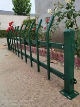 PVC草坪护栏苗木防护市政绿化带保护锌钢隔离栏杆