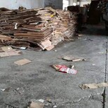 上海回收废纸回收废纸箱废纸箱回收硬纸板回收瓦楞纸图片1