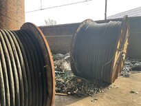 龙口电缆回收二手电缆回收厂家图片4