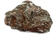 温州哪里有陨石拍卖成交率高的拍卖公司