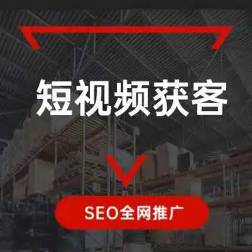 南京短视频seo,引荐江苏斯点