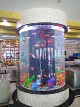 錦州觀賞魚缸價格圖片