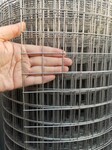 动物养殖家畜防护防鼠养蛇304不锈钢电焊网防锈耐用全国发货