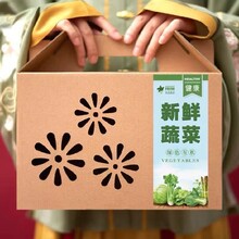 重庆纸箱包装加工公司