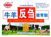 贵州牛羊反刍健胃散批发