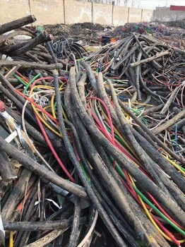 温州推荐回收废电缆线公司