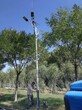 顺义生产6米40W太阳能路灯结构