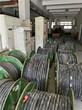温州市瑞安市库存积压电缆回收公司2022,低压电缆回收图片