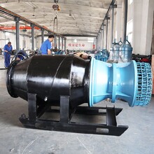 遼寧營口QGWZ貫流泵效率高圖片