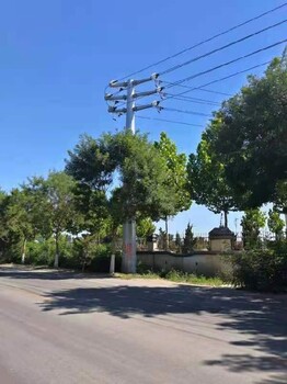 電力鋼管塔廠家池州66kv電力鋼管塔多少錢(qián)一噸