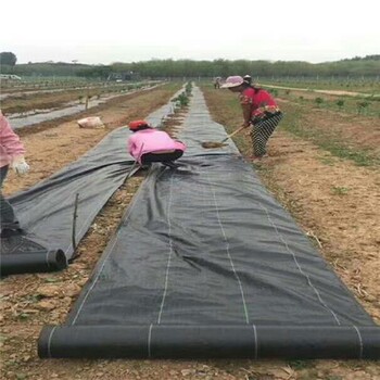 pe防草布厂家电话,防草地布