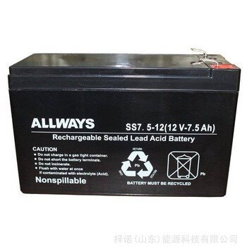 ALLWAYS铅酸免维护蓄电池SS75-1212V75AHUPS内置电池