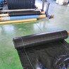 楚雄州防草布5米寬除草布大棚種植,PP防草布