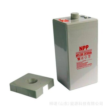 耐普NPP蓄电池NP2-3002V300AHUPS/EPS直流屏光伏储能