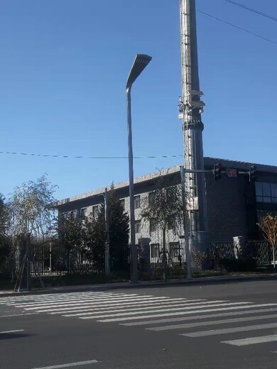 北京制作森光太阳能40瓦双臂路灯保养
