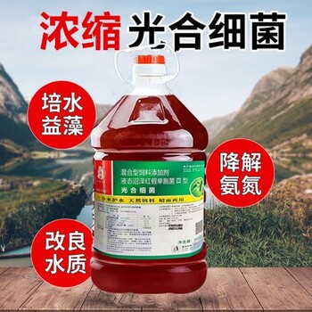 福建虾塘净水光合细菌,水产降氨氮药