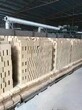 乐山工业硅藻土/粘土轻质砖图片