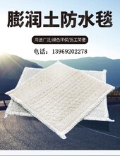 隆尧县定制晨光防水毯厂家图片