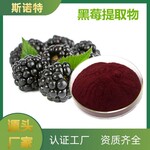 黑莓提取物斯诺特生物多规格黑莓花青素水溶性好