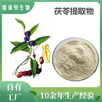 茯苓提取物斯诺特生物三遍浓缩提取80目茯苓粉