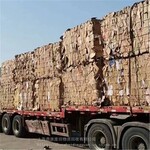 上海大量高价长期回收废课本用过的废纸板回收纸板回收白卡纸