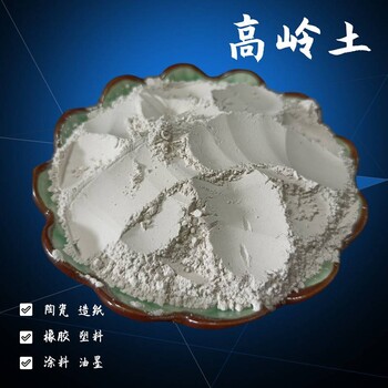 油墨填充高嶺土廣西白泥水洗軟質(zhì)土可塑性高嶺土