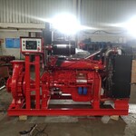 山东柴油机消防泵公司
