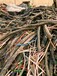 宿州淘汰电缆回收市场