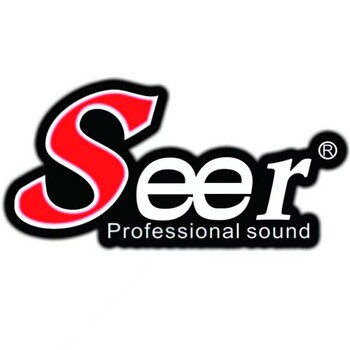 Seer朗声音响模拟功放（SK-450）两通道550W大功率舞台设备