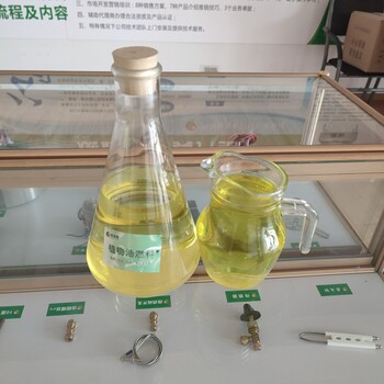 芜湖节能厨房植物油燃料厂家