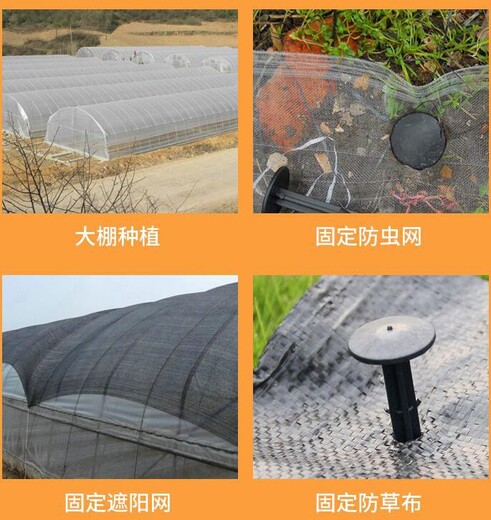 淄博塑料地钉注塑机设备厂家塑料地布钉生产设备报价